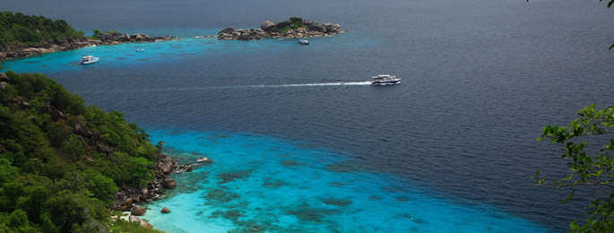 banner_des_thai_why_01