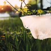 say-no-to-plastic