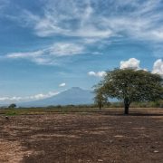 See rare flora and fauna in Baluran